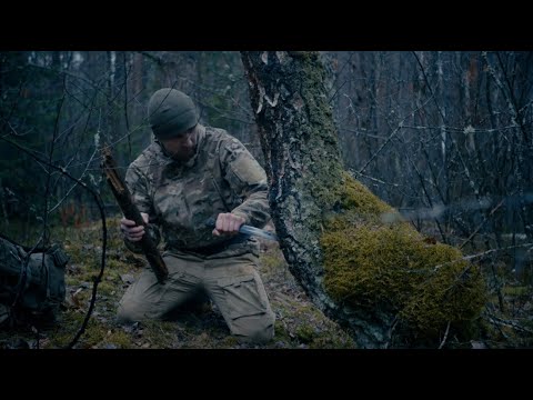 Bushcraft tutorial | How to tap Birch Sap