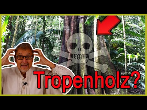 Hilfe - Mein Boden ist aus Tropenholz - Tropenholz, nein danke!