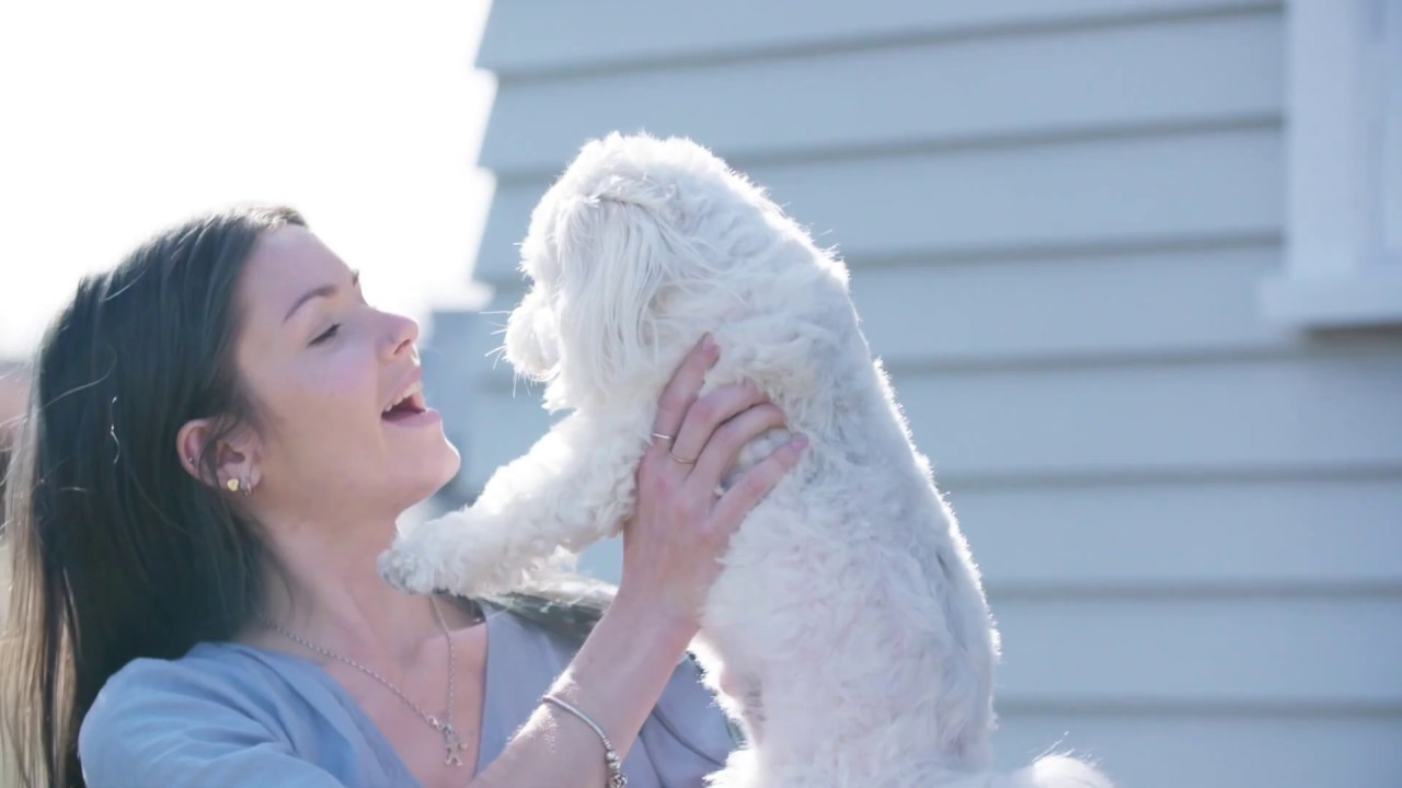 ZIWI NZ High quality pet food - about our process and farmers