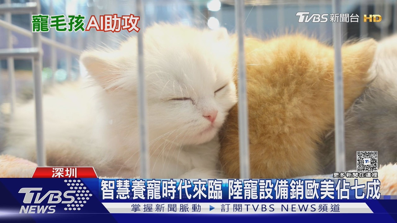 陸修法管寵物了!毛孩傷人罰4600元 「在家太吵」飼主也挨罰