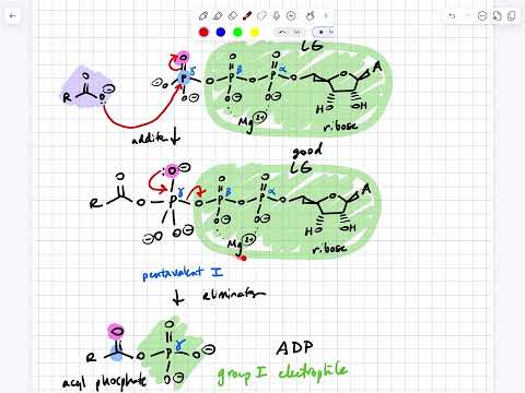 W2026 352 L11 Checkpoint 17.1 Feb2