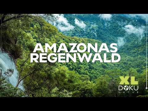 Geheimnisse im Amazonas Regenwald | Expedition zum Essequibo | XL Naturdoku
