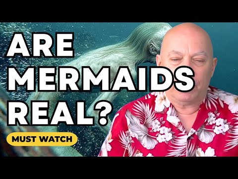 Bashar Reveals The Truth About Mermaids & Mermen Are They Real Portals & Genetics (Darryl Anka)