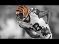 AJ Green Highlights Everyday We Lit