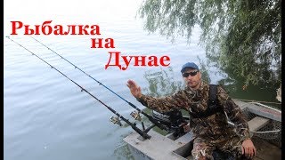 Рыбалка в болгарии на реке дунай