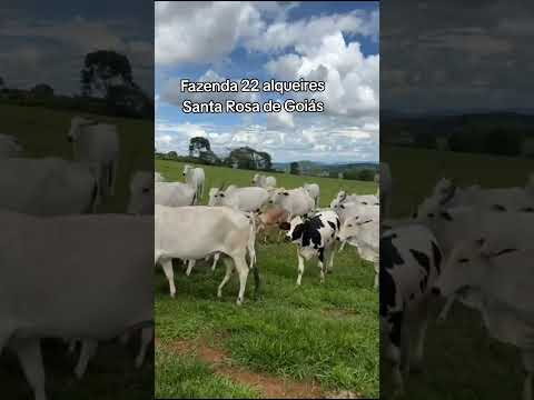 62-9-8305-7960 - Faz.22 alqueires, Santa Rosa de Goiás.