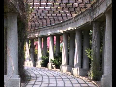 Bank   Powiedz mi coś o sobie