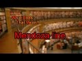What does Mendoza line mean?
