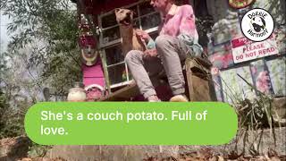 Video preview image #1 Rhodesian Ridgeback-Unknown Mix Puppy For Sale in Decatur, GA, USA