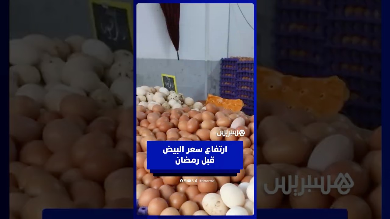ارتفاع سعر البيض   باعة يربطون الغلاء بالطلب الكبير في رمضان ومواطنون يطالبون بالمراقبة thumbnail