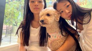 NYC WEEKEND VLOG WITH MY ANNOYING AF SISTER | Evelyn Ha