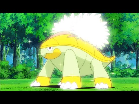 Pokemon Journeys  - Torterra Evolution
