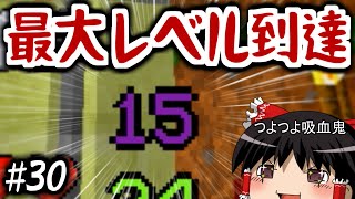 【Minecraft】日光が弱点なマインクラフト #30(終)【ゆっくり実況】