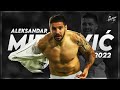 Aleksandar Mitrović 2022 ► Amazing Goals, Skills & Assists - Serbian goal machine | Fulham - HD