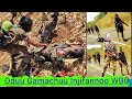 Oduu Owituu Tarkanfii Laleysaa Gotichi Waraana Bilisummaa Oromo WBO Pp Irrati Fudhate Sheregodha