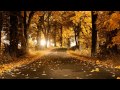 [HD] Sunlounger ft. Zara - Crawling (DJ Shah ...