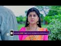 Vaidehi Parinayam Telugu Tv Serial Pavan Ravindra Karuna Bhushan Web 388 Zee Telugu