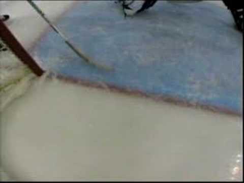 Alfredsson goal 1/2 vs Capitals - Dec 29