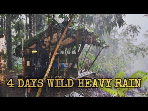 Wild HEAVY RAIN Camping in 4 Days‼️Wild Camping in Heavy Rain with Thunderstorm in 4 Days‼️ ASMR