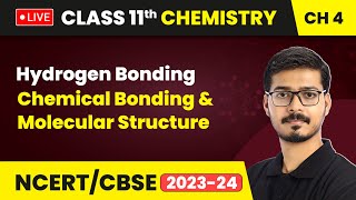 Hydrogen Bonding - Chemical Bonding & Molecular Structure | Class 11 Chemistry Chapter 4 | LIVE