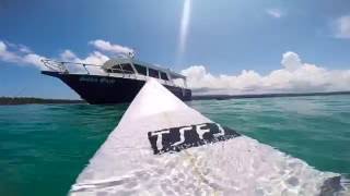 Telos 101 Surf Resort