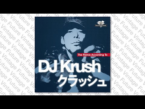 Ronny Jordan meets DJ Krush feat. Dana Bryant - The Jackal (The Illest Mix)