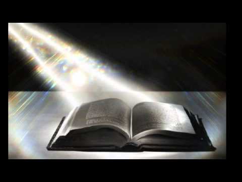 H2BOSS- JOSEPH ( COAT OF MANY COLORS)