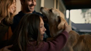 Ring Search Party Commercial