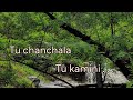 Chand Tu Nabhatla Chand Tu Nabhatala Marathi Song तू चंचला तू कामिनी T