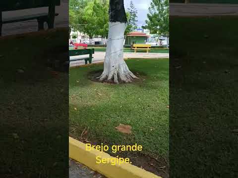 brejo grande Sergipe