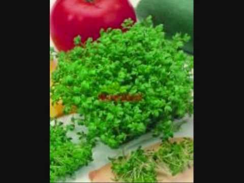 Jaromír Nohavica-když byl pepa ještě malý