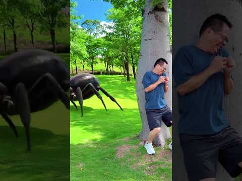 how many animals are there!!
