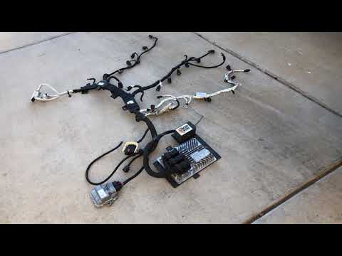 Gen V LT1 standalone harness