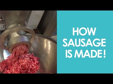 How Sausage is Made w/ Cara Nicoletti!