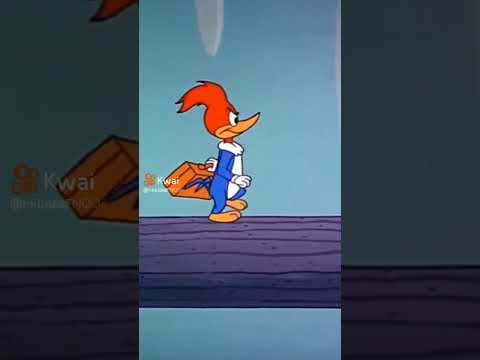 123 eu vou te mostrar 123