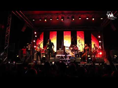 Jah Payzah & the black Spirits Live Jacaranda Music Festival 2019