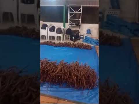 Estou te Vendo - Tetéo