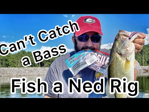 The Ned Rig vs. The Shaky Head: Your Questions Answered! - USAngler