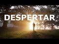 Despertar