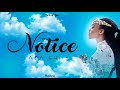 Ada Ehi || Notice (lyrics video) #adaehi #bornofgod #notice