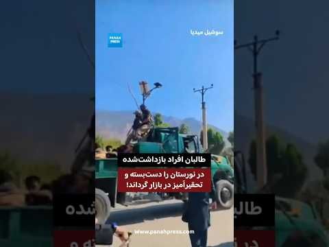 طالبان افراد بازداشت‌شده در نورستان را دست‌بسته و تحقیرآمیز در بازار گرداند! video thumbnail