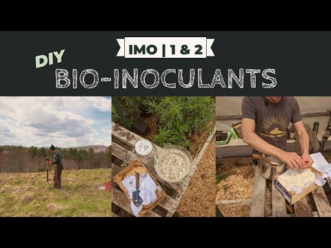 Collecting Indigenous Microorganisms / IMO 1 & 2
