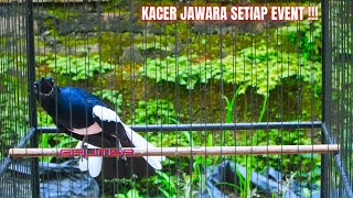 Download lagu OCEHAN KACER TOP, GACOR DORRR ll JUARA FULL MATERI MEWAH 2022 !!! mp3 Download lagu OCEHAN KACER TOP, GACOR DORRR ll JUARA FULL MATERI MEWAH 2022 !!! mp3