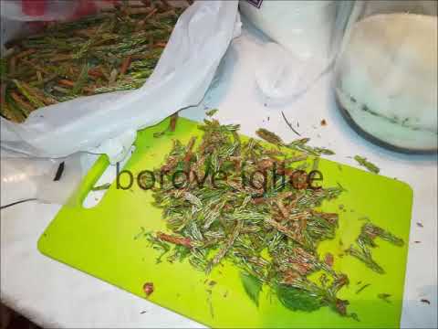 Sirup za plućne bolesti