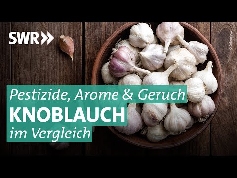 , title : 'Knoblauch im Test: Wie gesund ist die Knolle wirklich? | Marktcheck SWR'