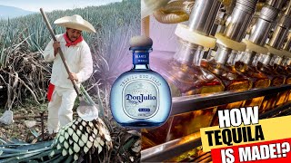How TEQUILA is Made From Agave Plant | DON JULIO Tequila Production