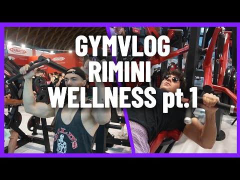 PROVO I MACCHINARI AL RIMINI WELLNESS w/Andrea Gaetani - Gymvlog pt.1