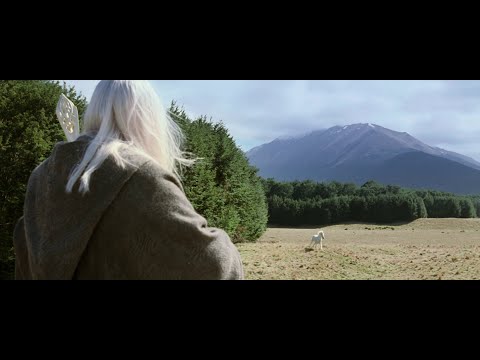 Beautiful Cinematography / Gandalf calls to Shadowfax: Lord of all horses.