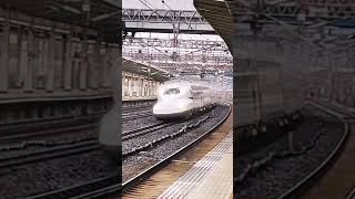 【新幹線】のぞみの大迫力通過！！ #サイコロ5個