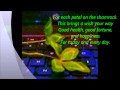 Four Leaf Clovers and Irish Blessings  - Music The Waterboys - The Good Ship Sirius-